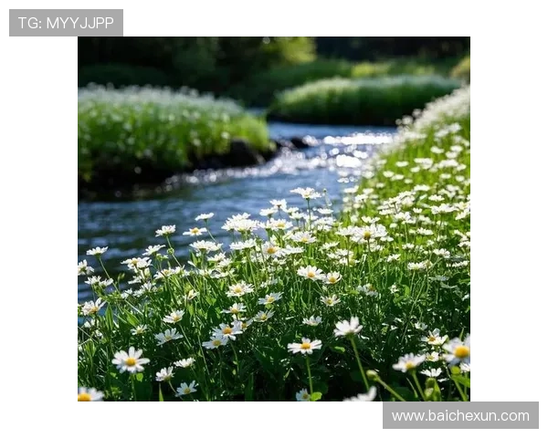 みずほゆき:流淌在时光里的温柔,点亮生活的每一瞬 みずほゆき:流淌在时光里的温柔,点亮生活的每一瞬