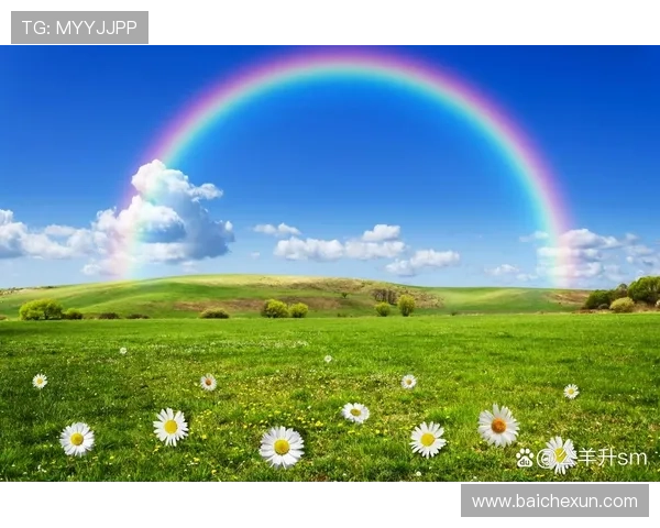 暴风前夕：在宁静中聆听心底的低语