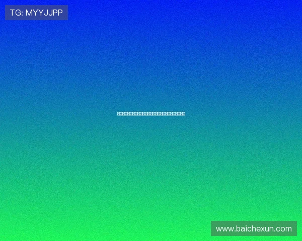 《极速前进第五季》：速度与激情的狂欢，亲情与友情的试炼